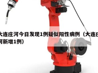 大连庄河今日发现1例疑似阳性病例（大连庄河新增1例）