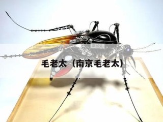 毛老太（南京毛老太）