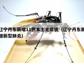 辽宁丹东新增11例本土无症状（辽宁丹东新增新型肺炎）