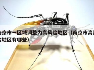 南京市一区域调整为高风险地区（南京市高风险地区有哪些）