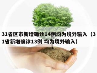 31省区市新增确诊14例均为境外输入（31省新增确诊13例 均为境外输入）