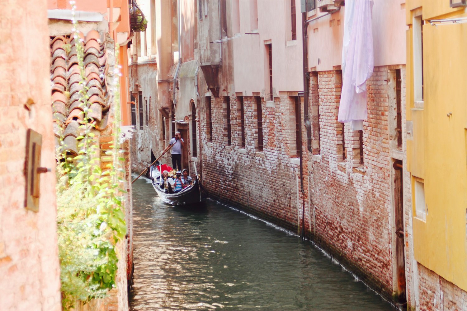 探索威尼斯的VIP体验，解锁391.威尼斯V4.21.7的独特魅力